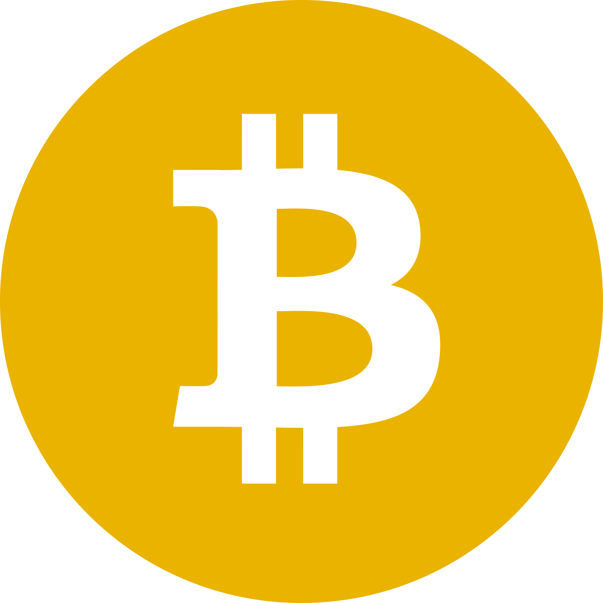 BSV Logo